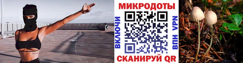 Псилоцибиновые грибы прущие грибы  цена   blacksprut как зайти  Орск 